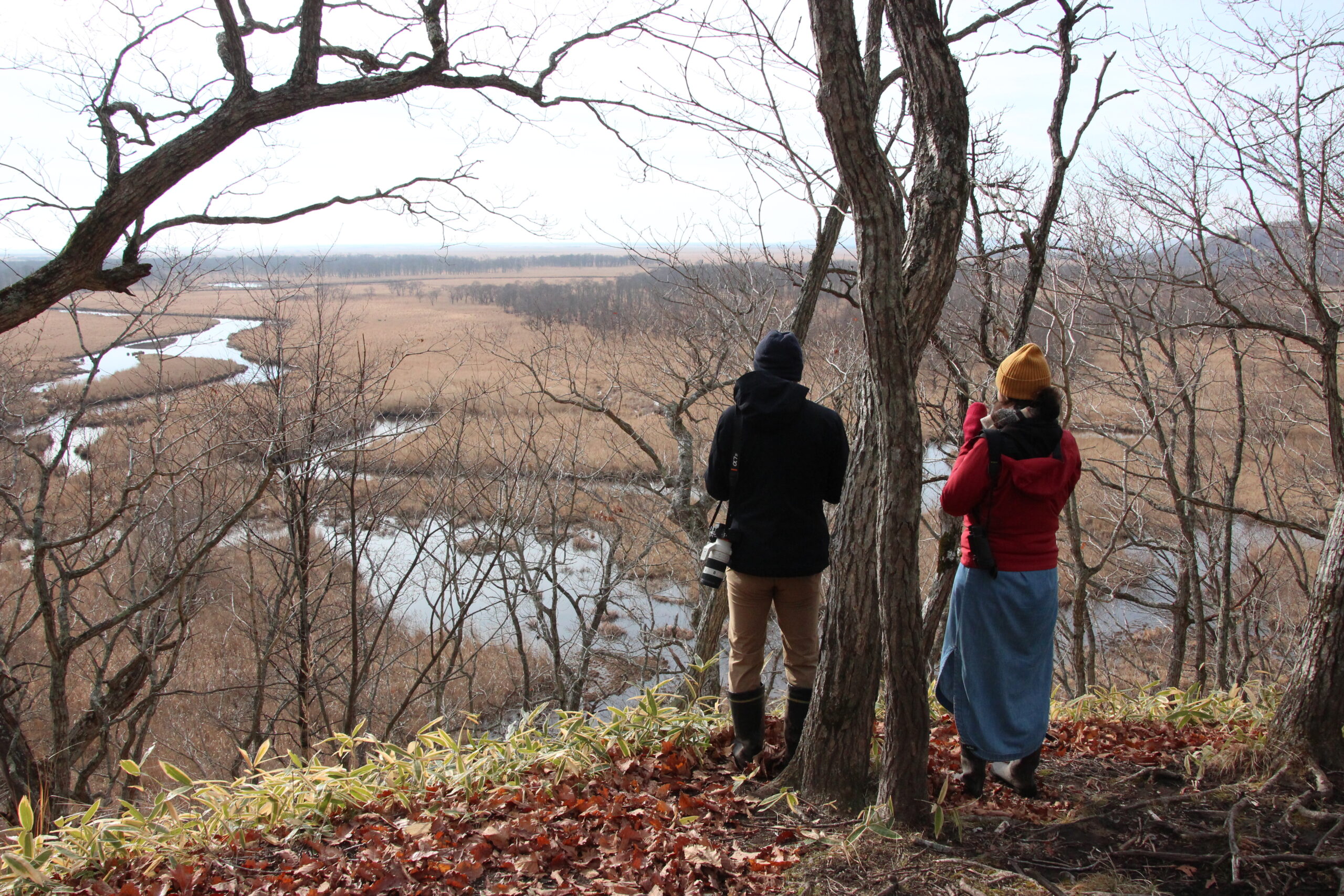 ネイチャーツアー
